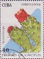 timbre succulent