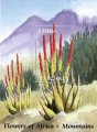 timbre succulent