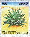 timbre succulent