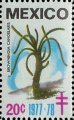 timbre succulent