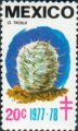 timbre succulent