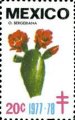 timbre succulent