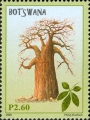 timbre succulent