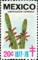 timbre succulent
