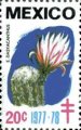 timbre succulent