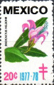 timbre succulent