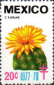 timbre succulent