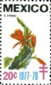 timbre succulent