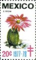 timbre succulent
