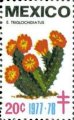 timbre succulent