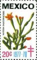 timbre succulent