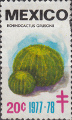 timbre succulent