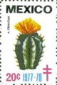timbre succulent