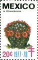 timbre succulent