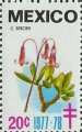 timbre succulent