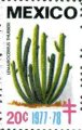 timbre succulent
