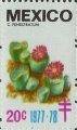 timbre succulent