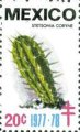 timbre succulent