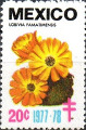 timbre succulent
