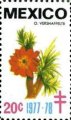 timbre succulent