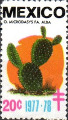 timbre succulent