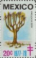 timbre succulent