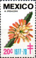 timbre succulent
