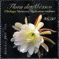 timbre succulent