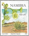 timbre succulent