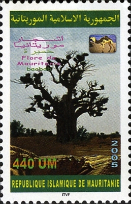 Mauritanie