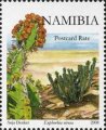 timbre succulent