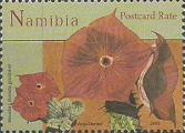 timbre succulent