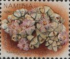 timbre succulent