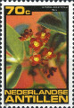 timbre succulent