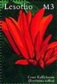 timbre succulent