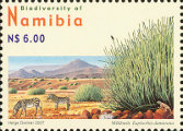 timbre succulent