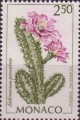 timbre succulent