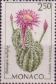timbre succulent