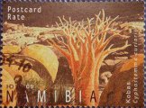 timbre succulent
