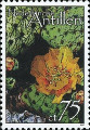 timbre succulent