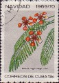 timbre succulent