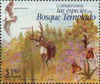 timbre succulent