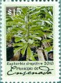 timbre succulent