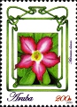 timbre succulent