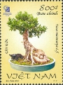 timbre succulent