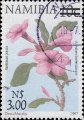 timbre succulent