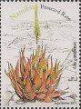 timbre succulent