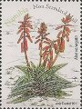 timbre succulent