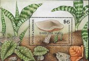 timbre succulent