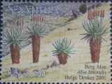 timbre succulent